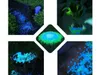 Fluorescenčné fluorescenčné kamene 100 dosiek Blau Náhľad obrázku produktu 3