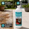 HOTREGA RENEWAL II Kraftreiniger 1 Liter Konzentrat Produktbild-Vorschau 4