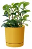 Vaso TUBO P 13CM senape Anteprima dell’immagine prodotto 2