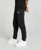 Puma Herren Teamgoal Freizeithose Strickhose, Puma Produktbild-Vorschau 2