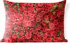 MuchoWow® Outdoor Kissen - Rosen - Rot - Strauch - 50x30 cm Produktbild-Vorschau 1