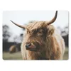 MuchoWow® Mauspad Mousepad Schottischer Highlander - Tiere Produktbild-Vorschau 1
