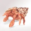 Folkmanis Hermit Crab, Fingerpuppe, Tier, 1 Stück(e) Produktbild-Vorschau 5