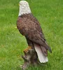Dekofigur Gartenfigur Weißkopfseeadler Produktbild-Vorschau 4