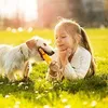A young girl and her dog playing with a toy in a grassy field during sunset. Náhľad obrázku produktu