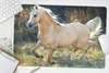 MuchoWow® Schreibtischunterlage Pferd - Natur - Braun 60x40 Produktbild-Vorschau 5