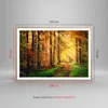 Gerahmtes Poster - Rahmen in heller Eiche - Wald Baum Natur Produktbild-Vorschau 5