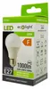ECO LIGHT Żarówka LED E27 3000k 900lm 10W BARWA BIAŁA Podgląd zdjęcia produktu 4