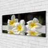 Acrylglasbilder 125x50 Wandbild Druck Blumen Pflanzen Produktbild-Vorschau 2