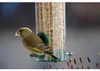 dobar Kleine Futtersäule mit Anflugstangen, Futterspender Produktbild-Vorschau 8