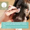 AniForte Sanfte Augenpflege für Hunde, Katzen & Kleintiere Produktbild-Vorschau 4
