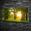 Tulup® Glas-Bild - 100x50 -Wandkunst - Wandbild hinter Produktbild-Vorschau 2