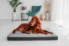 A brown Irish Setter dog is lying on a gray and black orthopedic dog bed in a bright, modern living room. Produktbild-Vorschau