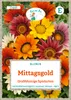 Grüne Fee - Mittagsgold Großblumige Spielarten Samen - Produktbild-Vorschau 1
