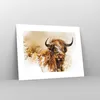Poster - Poster ohne Rahmen - Stier Scotch Aquarell - 40x30 Produktbild-Vorschau 7