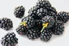 Ponthier BROMBEEREN PÜREE Frucht-Mark-Püree 1 KG Produktbild-Vorschau 4