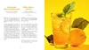 Limonaden selber machen Produktbild-Vorschau 3