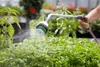 Gardena Premium Gießstab Produktbild-Vorschau 15