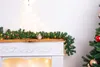 MagicHome vánoční girlanda, 50x LED, teplá bílá, 3xAA, 8 Náhled obrázku produktu 1