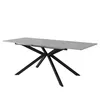 A rectangular dining table with a gray tabletop and a black, star-shaped base, shown against a white background. Anteprima dell’immagine prodotto
