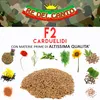 Re del Canto, F2 Carduelids – 1 Packung mit 3 kg – Mischung Produktbild-Vorschau 6