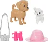 Barbie HRM09, Lalka modowa, Damski, 3 lat(a), Chłopak, Podgląd zdjęcia produktu 13