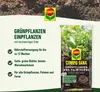 COMPO SANA® Grünpflanzen- und Palmenerde - 40 Liter Produktbild-Vorschau 3