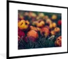 MuchoWow® Gerahmtes Poster Landdekoration - Herbst - Apfel Produktbild-Vorschau 1