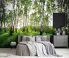 Vlies Fototapete Birken Wald Natur grün (368cm x 254cm - 4 Produktbild-Vorschau 3