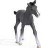 schleich HORSE CLUB 13944, 5 lat(a), Horses, Szary Podgląd zdjęcia produktu 8