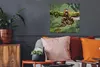 MuchoWow® Poster Schlange - Zweig - Regenwald 50x50 cm - Produktbild-Vorschau 2