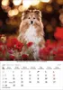 Korsch Kalender 2027: Hunde – Mit wechselnden Tiermotiven Produktbild-Vorschau 11