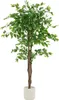 ML-Design Kunstpflanze Ficus 150cm Künstliche Pflanzen groß Produktbild-Vorschau 1