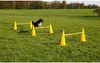 Kerbl 2-in-1 Agility Pylonen-Hürden Set Gelb 81994 Produktbild-Vorschau 8