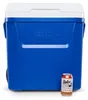 IGLOO Laguna 60 Kühlbox 56L – Große Passiv-Kühlbox mit Produktbild-Vorschau 4