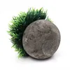 Belle Vous Mini Künstliche Pflanzen im Topf (2er Pack) Produktbild-Vorschau 10