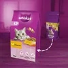 Whiskas Adult 7kg - suché krmivo pro kočky s kuřecím masem Náhled obrázku produktu 2