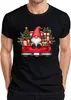 Weihnachtszwerg Truck Wichtel Gnom - Weihnachten Xmas Produktbild-Vorschau 1