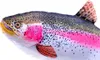 Gaby Stofftier Kuscheltier Regenbogenforelle 62cm Produktbild-Vorschau 2