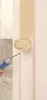 Knauf EASYPUTZ Auftragswalze, zum Auftragen für satten und Produktbild-Vorschau 2
