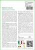 SAFLAX  - Bambù di Calcutta - 50 semi - Con substrato - Anteprima dell’immagine prodotto 3