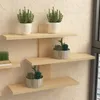 Three wooden shelves mounted on a textured wall, decorated with potted plants. Produktbild-Vorschau