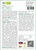 SAFLAX - BIO - medovka - Melissa officinalis - 1000 Semená Náhľad obrázku produktu 3