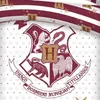 Sada ložního prádla Harry Potter 100% organická bavlna 2x Náhled obrázku produktu 3