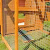 Mucola kurnik kurnik kurnik małe zwierzęta kurnik zając Podgląd zdjęcia produktu 3