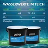 KOIPON Fadenalgen-Vernichter 5kg phosphatfrei gegen Produktbild-Vorschau 7