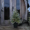 Star Trading LED-Tanne Greyland 80 LED warmweiß außen 90 cm Produktbild-Vorschau 3