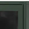 A close-up view of a dark green cabinet with a black glass panel and text on the top right. Anteprima dell’immagine prodotto