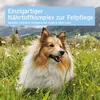 AniForte A10000204, Pes, Tabletka, Celkový zdravotný stav, Náhľad obrázku produktu 6