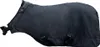 A black horse blanket laid out on a white background. Anteprima dell’immagine prodotto
